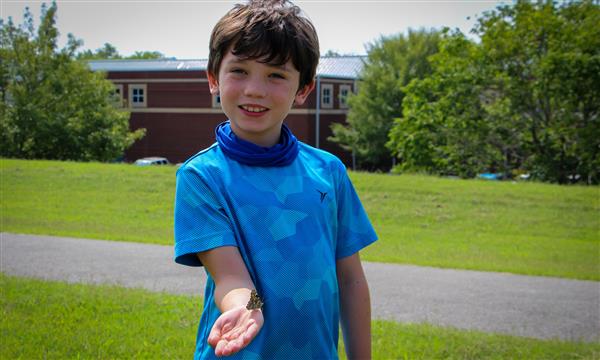 Boy holds out butterfly